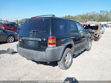 Ford Escape Xlt 1FMYU93137KA58002 снимка
