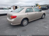 Toyota Corolla Ce 2T1BU4EE7AC431841 снимка