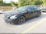 Nissan Maxima Sv 1N4AA5AP6EC491986 снимка