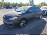 Toyota Corolla S/Le/Xle 2T1BU40E89C025506 снимка