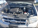 Ford Escape Xlt 1FMCU03G89KC83805 снимка