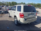 Ford Escape Xlt 1FMCU03G89KC83805 снимка