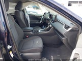 Toyota Rav4 Xle 2T3R1RFV1KW040517 photo