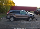 Honda Cr-V Exl 5J6RE4H72BL810694 снимка