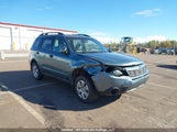Subaru Forester Xs JF2SH6BC6AH783809 снимка