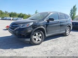 Honda Cr-V 2HKRM4H32GH125564 снимка