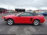 Ford Mustang 1FAFP4442XF208128 снимка