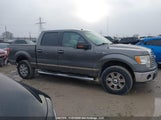 Ford F-150 1FTFW1EV6AFD81807 снимка