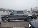 Ford F-150 1FTFW1EV6AFD81807 снимка