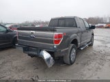 Ford F-150 1FTFW1EV6AFD81807 снимка