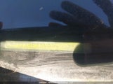 Toyota Rav4 2T3BF33V99W007756 снимка
