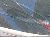 Honda Civic Ex 2HGFB2F52FH060838 снимка
