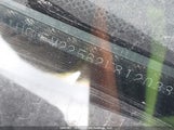 Honda Civic Lx 1HGEM22562L812033 снимка