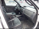 Ford Escape Limited 1FMCU9E72BKB37469 fotografie