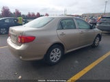 Toyota Corolla 2T1BU4EE0AC224420 снимка
