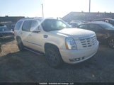 Cadillac Escalade Sport 1GYFK53279R113736 fotografie