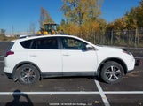 Toyota Rav4 Xle 2T3RFREV9JW767941 снимка