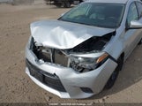 Toyota Corolla Le 2T1BURHE9GC684693 снимка