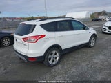 Ford Escape Se 1FMCU0GX8GUB17568 снимка