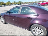 Cadillac Cts 1G6DC5EG1A0146102 снимка