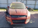 Ford Escape Se 1FMCU0GX0EUB17948 снимка