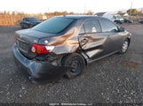 Toyota Corolla Ce 2T1BU4EE0AC492531 снимка