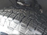 GMC Sierra  Elevation 1GTU9CED7KZ330947 fotografie