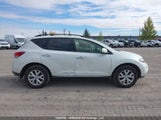 Nissan Murano S/Sl/Le JN8AZ1MWXDW321291 photo