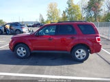 Ford Escape Xlt 1FMCU03G19KC84066 снимка