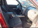Ford Escape Xlt 1FMCU03G19KC84066 снимка