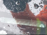 Honda Accord 1HGCP36838A805635 снимка