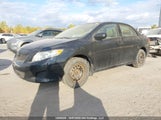 Toyota Corolla 2T1BU4EE7AC367512 снимка