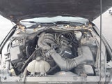 Ford Mustang 1FA6P8AM1G5262473 снимка