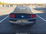 Ford Mustang 1FA6P8AM1G5262473 снимка