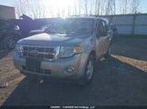 Ford Escape Xlt 1FMCU0D77CKA11168 снимка