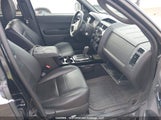 Ford Escape Xlt 1FMCU93G29KB85714 снимка