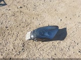 Porsche Cayman WP0AA2A82EK173807 photo