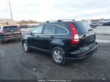 Honda Cr-V Ex 5J6RE3H51BL801848 снимка