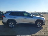 Toyota Rav4 Xle 2T3R1RFV0PC329493 снимка