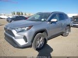 Toyota Rav4 Xle 2T3R1RFV0PC329493 снимка