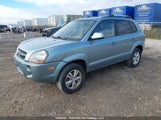 Hyundai Tucson KM8JM12B69U942892 снимка