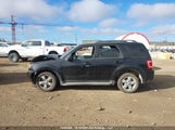 Ford Escape Limited 1FMCU94G39KC45336 снимка