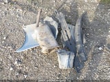 Toyota Corolla 2T1BU4EE4AC258070 снимка