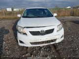 Toyota Corolla 2T1BU4EE4AC258070 снимка