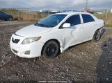 Toyota Corolla 2T1BU4EE4AC258070 снимка