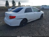 Toyota Corolla 2T1BU4EE4AC258070 photo
