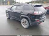Jeep Cherokee Trailhawk 1C4PJMBX6LD509634 снимка