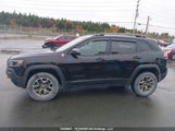 Jeep Cherokee Trailhawk 1C4PJMBX6LD509634 снимка