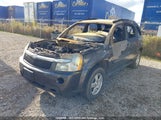 Chevrolet Equinox Ls 2CNDL13F076103205 снимка