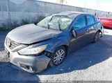 Nissan Altima 1N4AL3AP0GN310354 снимка